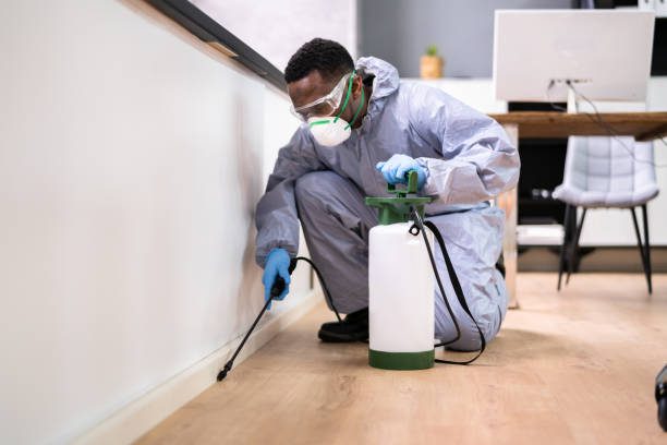 Best Residential Pest Control  in Rancho Santa Fe, CA